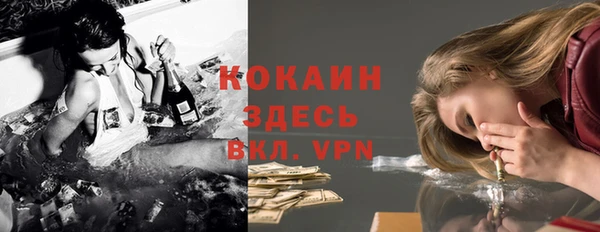 гашик Алексин