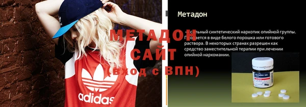 гашик Алексин