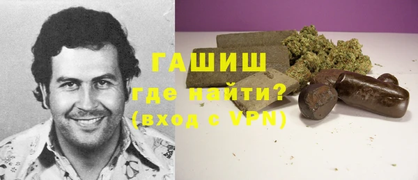 гашик Алексин