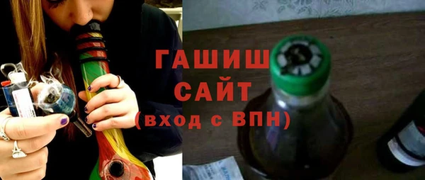 гашик Алексин