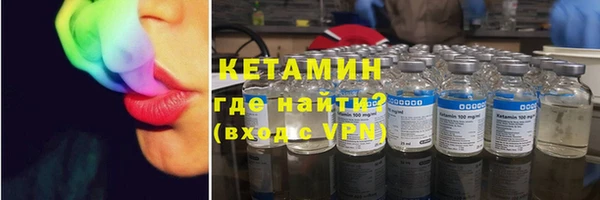 гашик Алексин