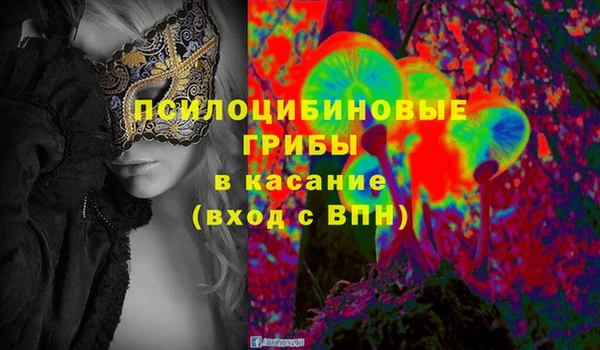 прущая мука Алзамай