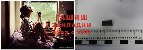 гашик Алексин