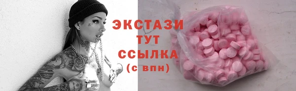 гашик Алексин