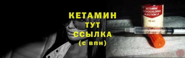 гашик Алексин