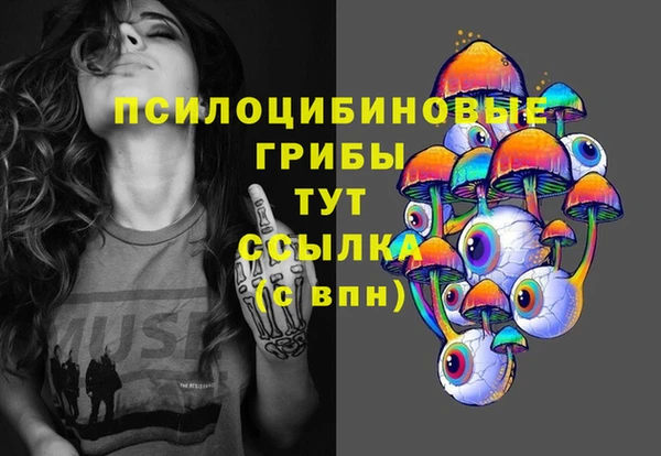 apvp Инсар