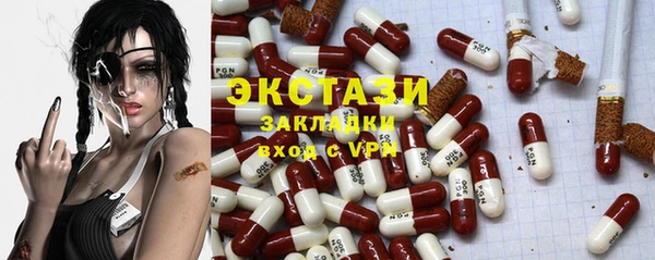 гашик Алексин