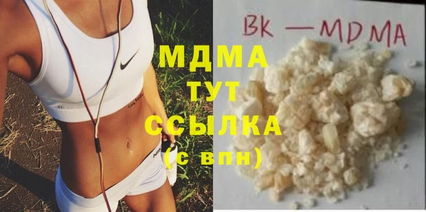 гашик Алексин