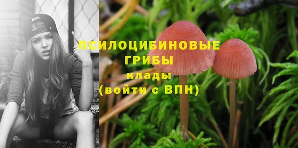 марки lsd Алексеевка