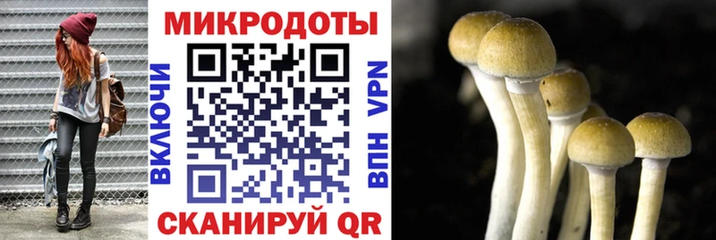блэк спрут маркетплейс  Малоархангельск  Галлюциногенные грибы мицелий 